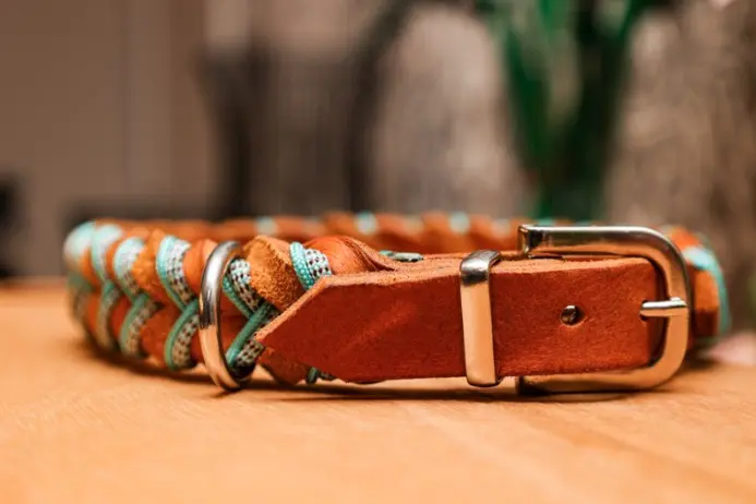 Lederen halsband 1.webp