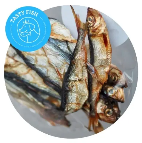 TastyFish Fishies – Haring - 100 gram