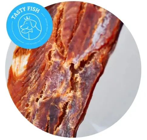 TastyFish PureSea Filet – Zalm - 100 gram